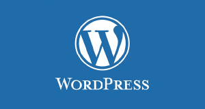 ico1-wordpress