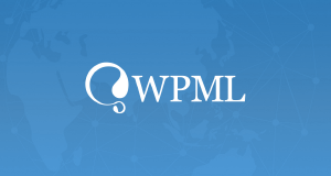 ico5-wpml